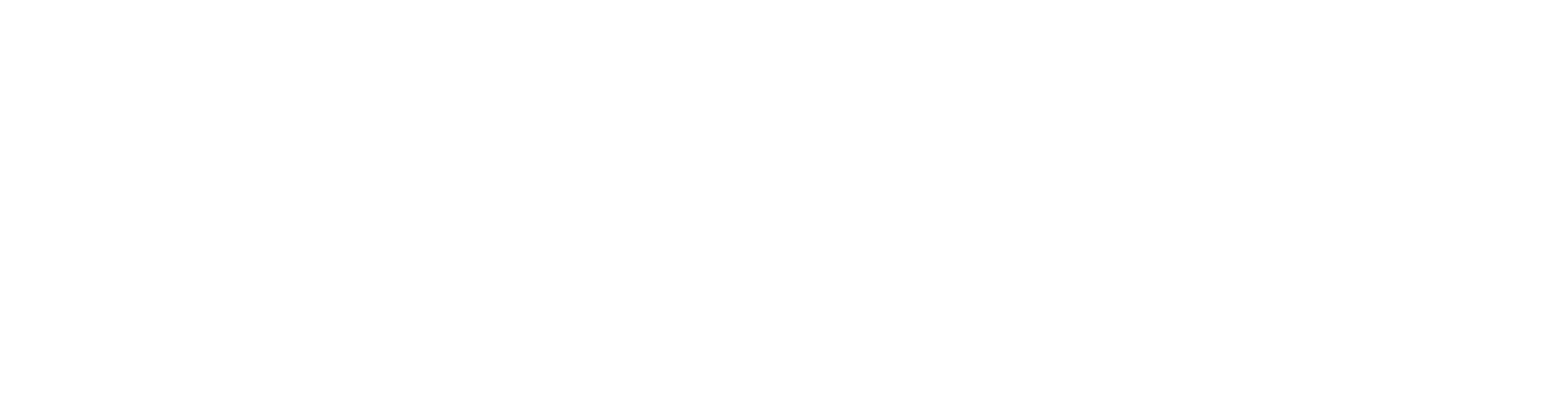 ActionCOACH logo_white